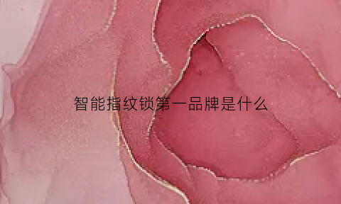 博鱼智能指纹锁第一品牌是什么(智能指纹锁品牌十大排名)